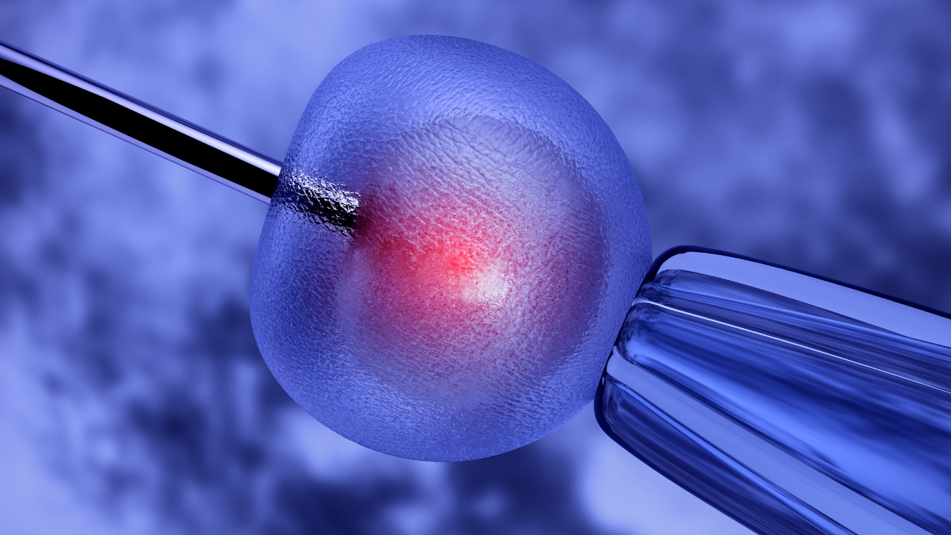 Inseminación artificial: cuándo está recomendada y cuál es su tasa de éxito 