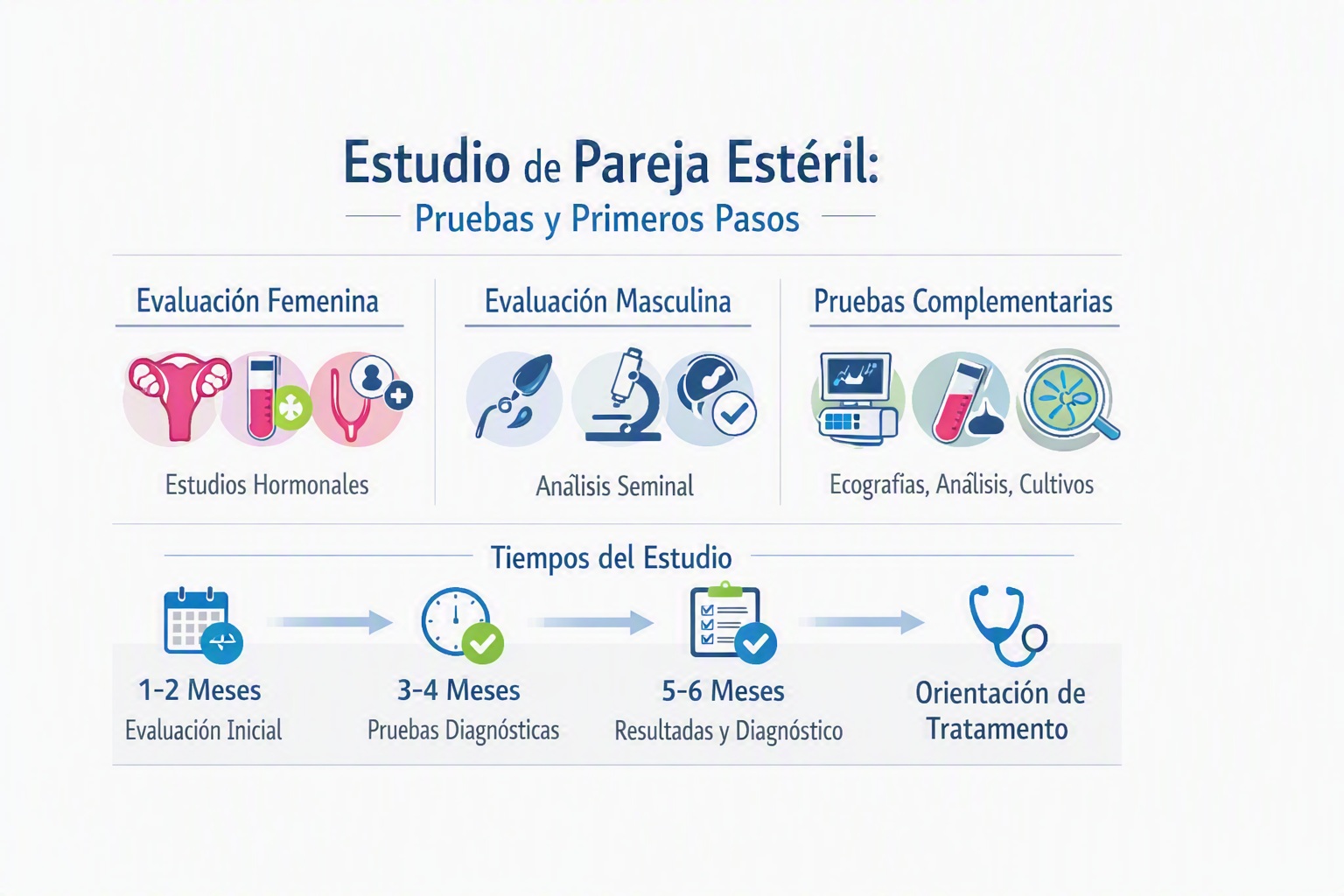 Guía Completa del Estudio de Pareja Estéril: Pruebas, Tiempos y Primeros Pasos.