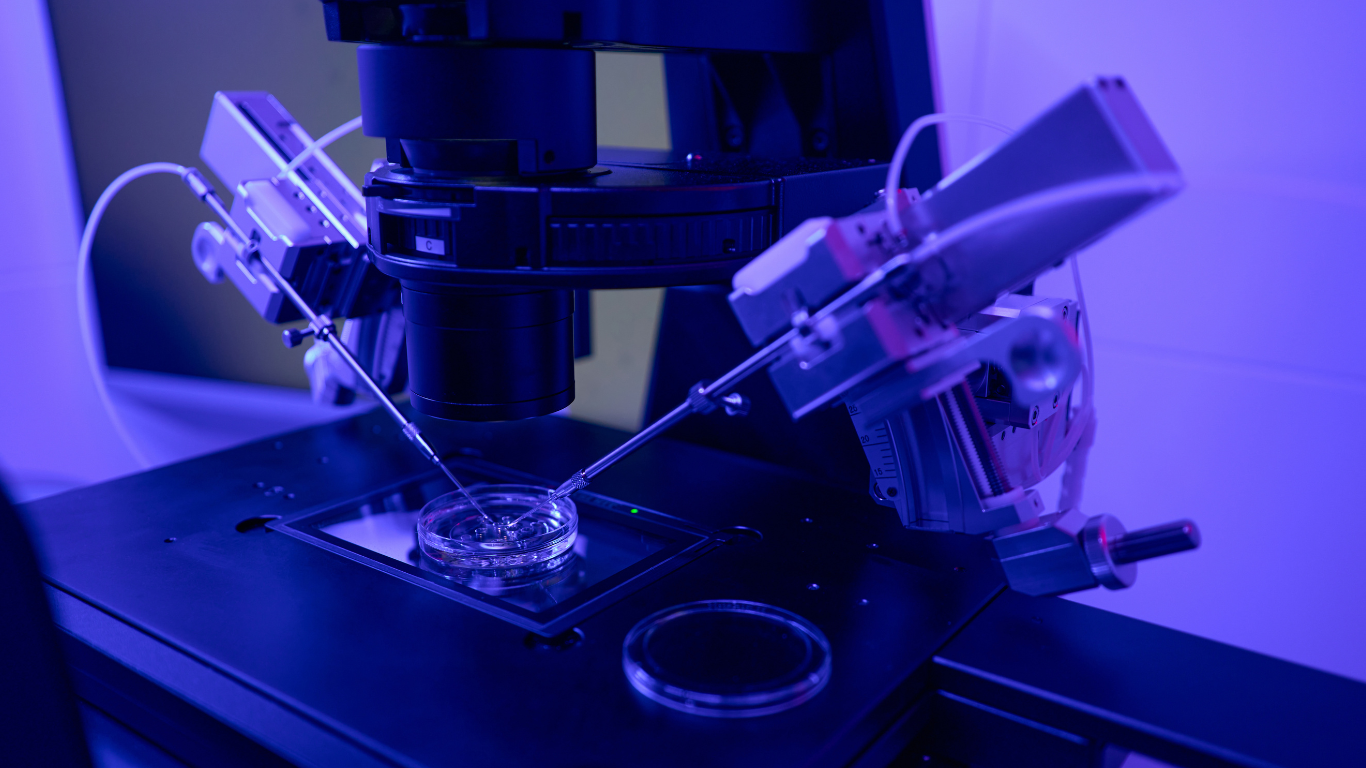 FIV: en qué consiste la fecundación in vitro y qué éxito podemos esperar